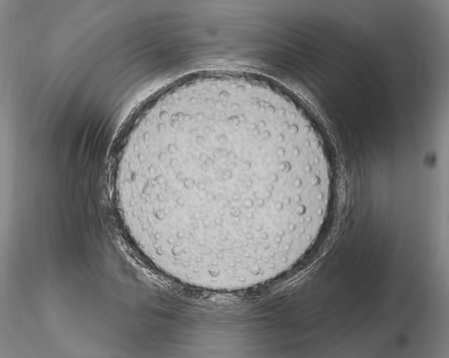 X0000115010974200912071200