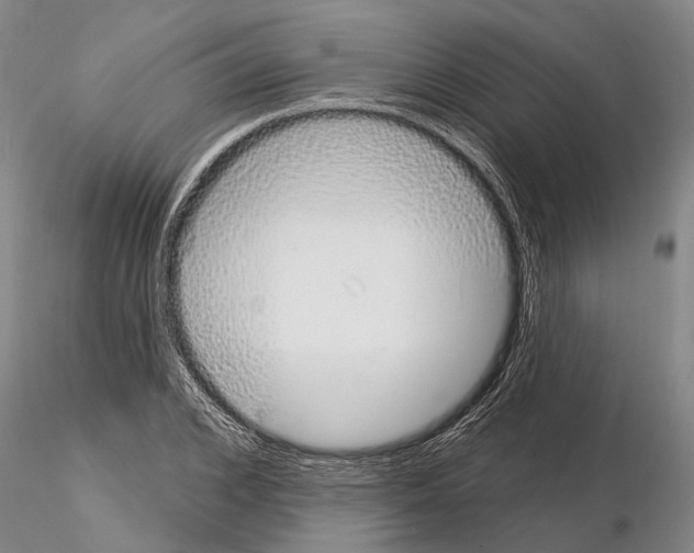 X0000115010976200912071200