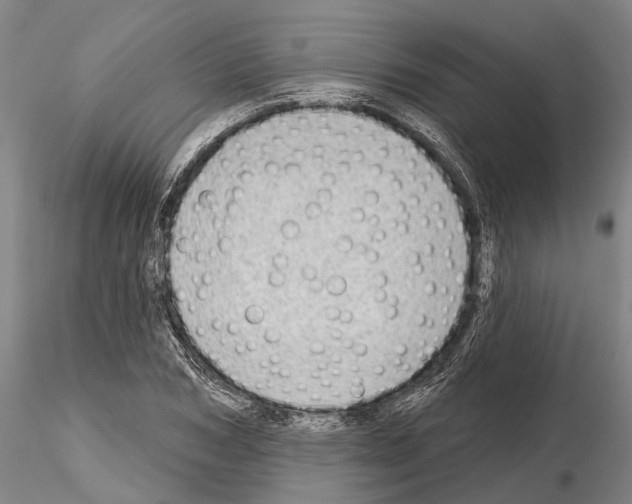 X0000115010978200912071200