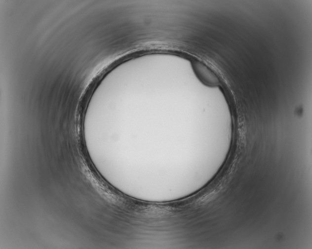 X0000115010981200912071200