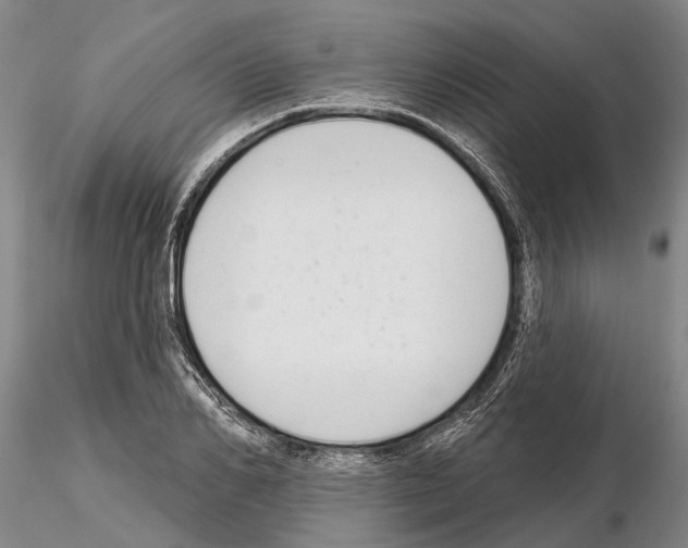 X0000115010982200912071200