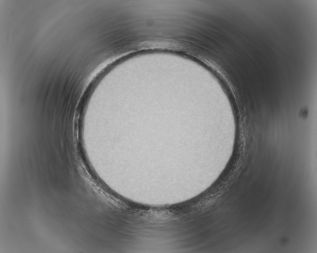 X0000115010983200912071200