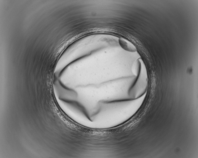 X0000115010985200912071200