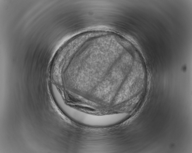 X0000115010989200912071200