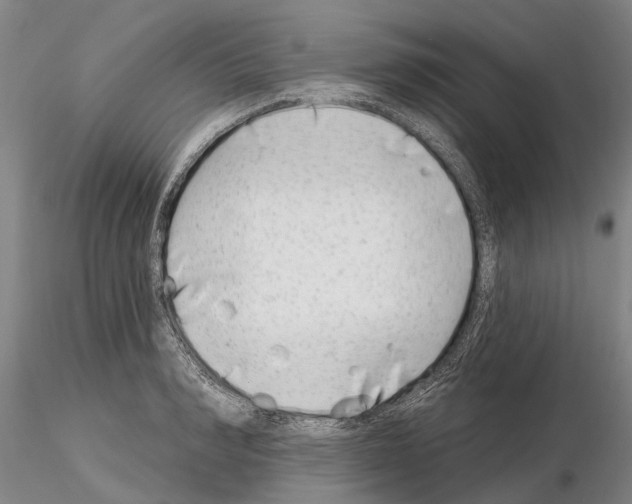 X0000115010990200912071200