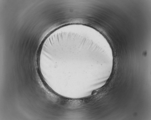 X0000115010991200912071200