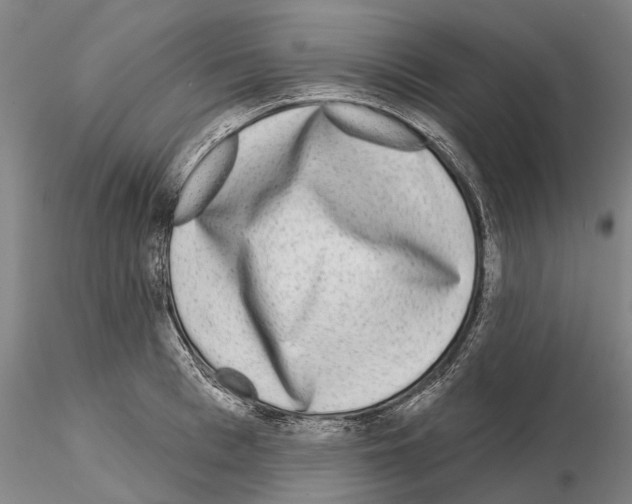 X0000115010993200912071200