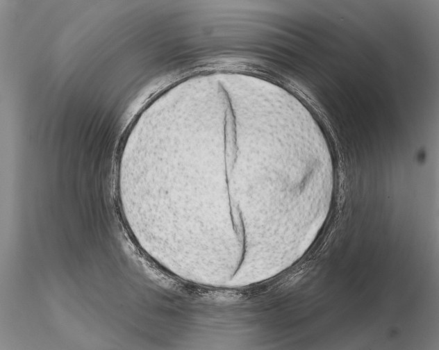 X0000115010994200912071200
