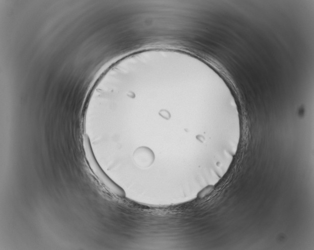 X0000115010996200912071200