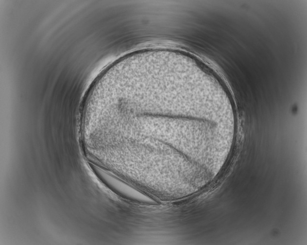 X0000115010997200912071200