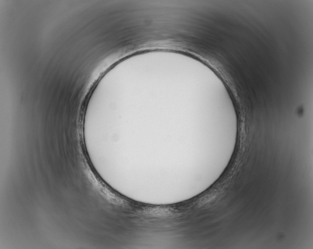 X0000115010998200912071200