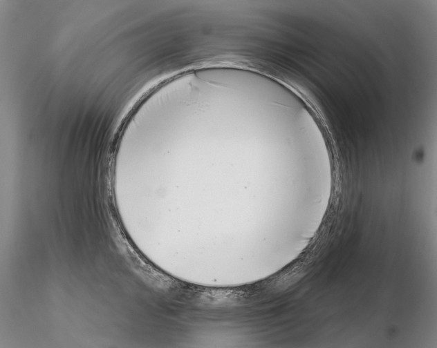 X0000115011000200912071200