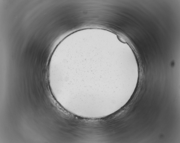 X0000115011004200912071159