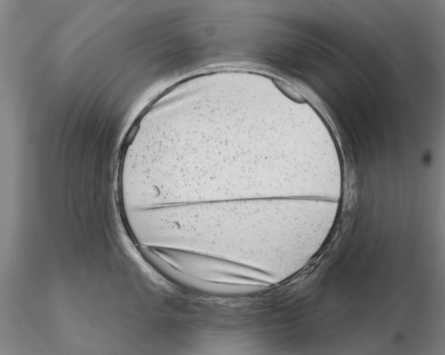 X0000115011005200912071159