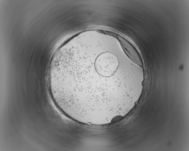 X0000115011007200912071159