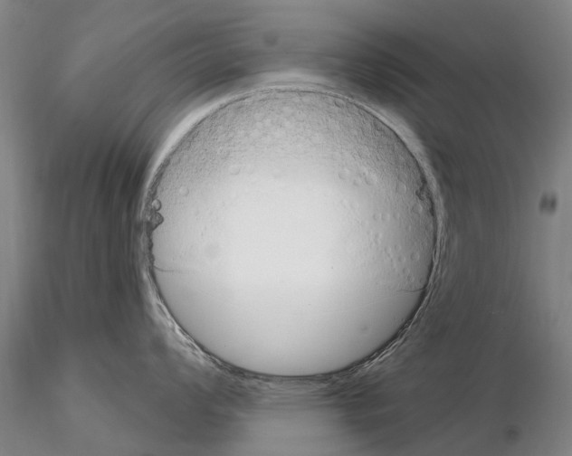 X0000115011008200912071159