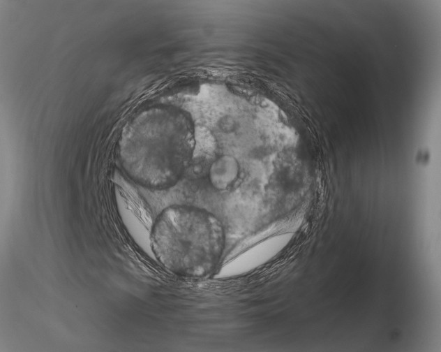 X0000115011009200912071159