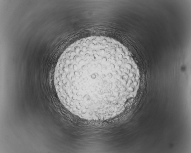 X0000115011010200912071159