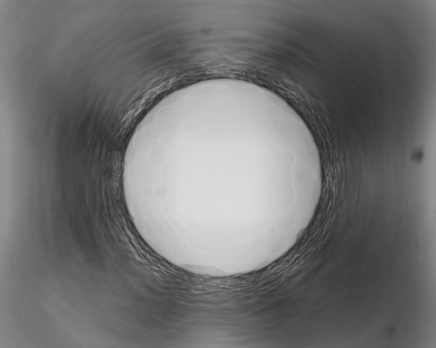 X0000115011012200912071159