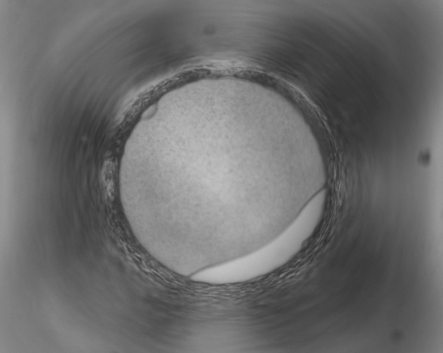 X0000115011016200912071159