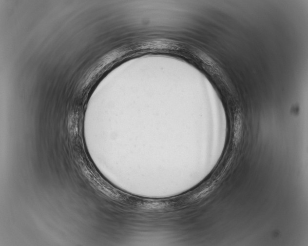 X0000115011017200912071159