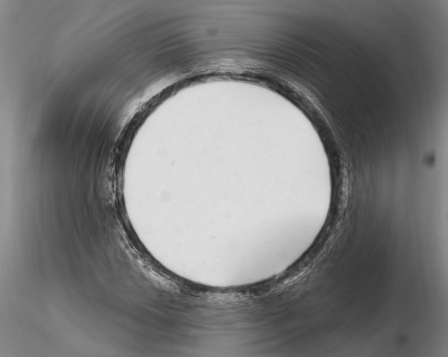 X0000115011018200912071159