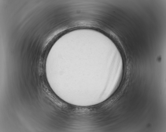 X0000115011019200912071159