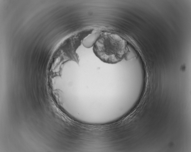 X0000115011020200912071159