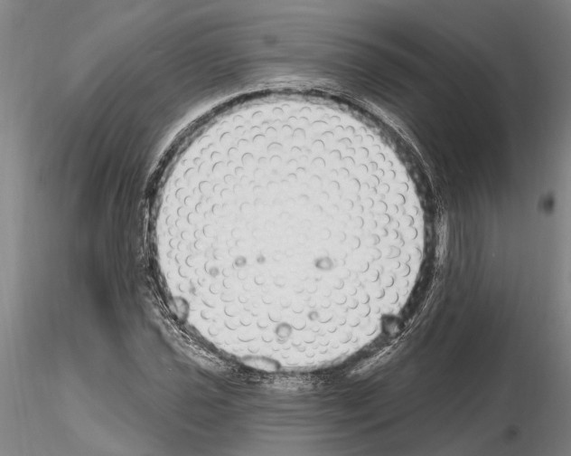 X0000115011021200912071159