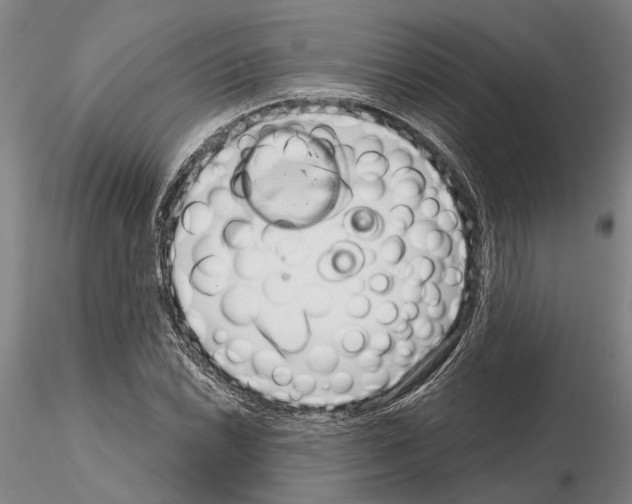 X0000115011022200912071159