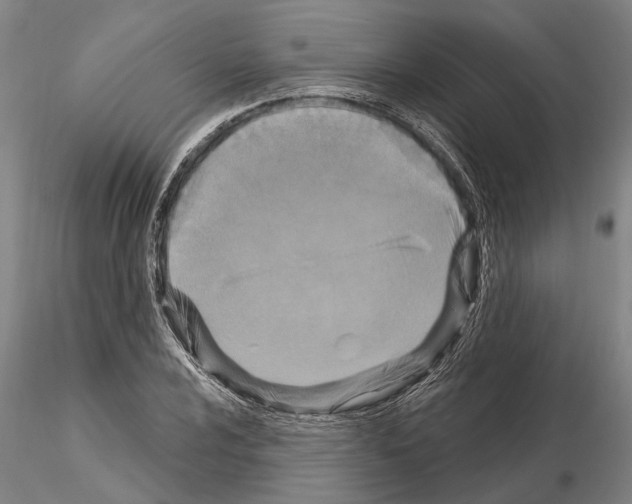X0000115011024200912071159