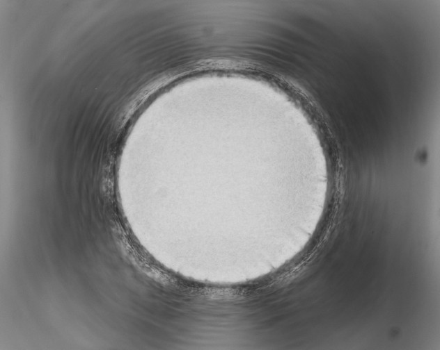 X0000115011025200912071159