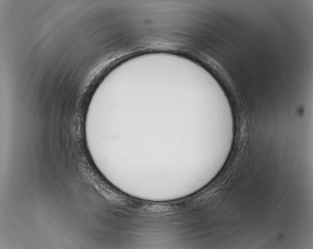 X0000115011027200912071159