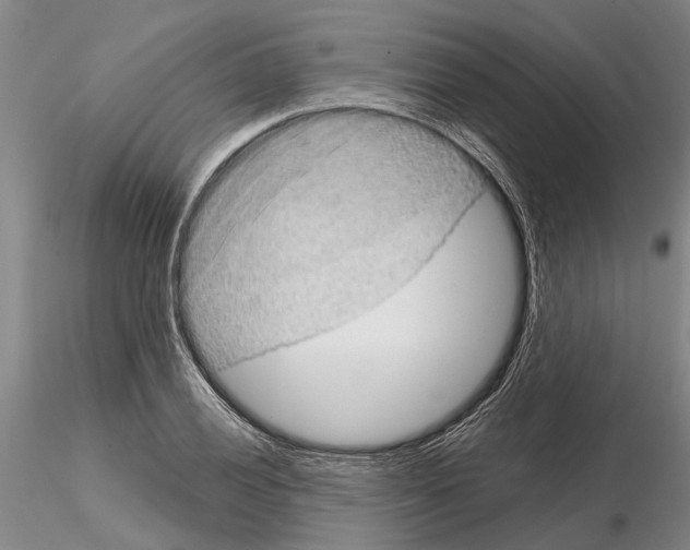 X0000115011028200912071159