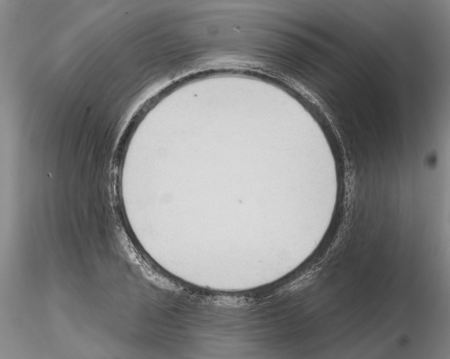 X0000115011029200912071159