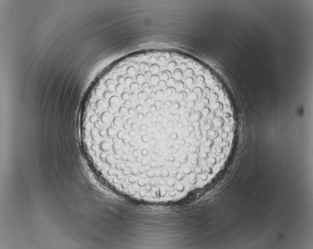 X0000115011030200912071159