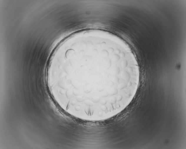 X0000115011032200912071159