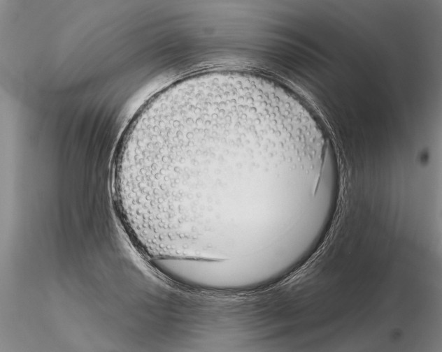 X0000115011034200912071159