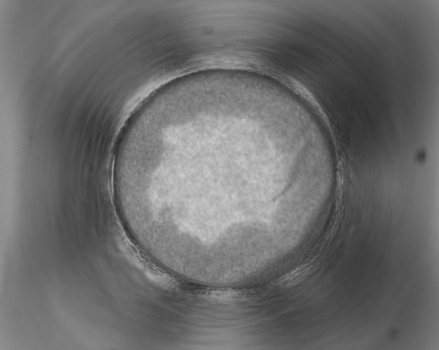 X0000115011035200912071159