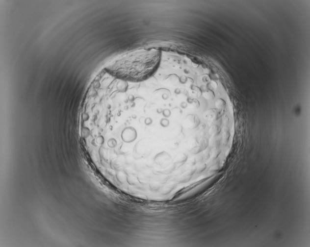 X0000115011036200912071159