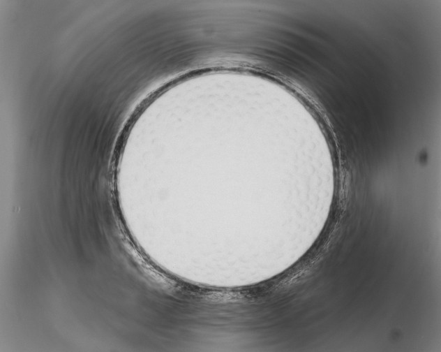 X0000115011037200912071159