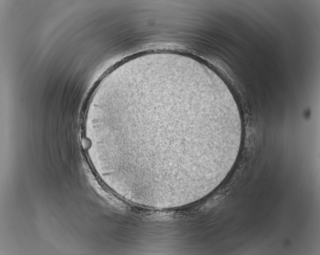 X0000115011038200912071159