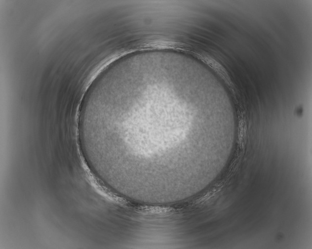 X0000115011039200912071159