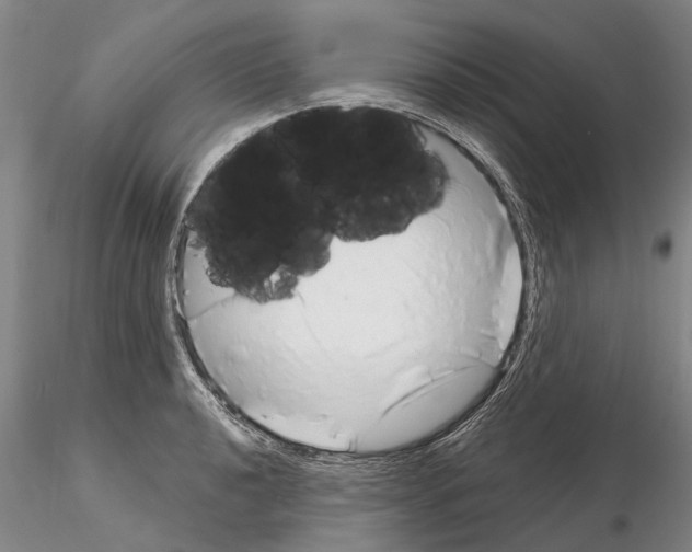 X0000115011040200912071159