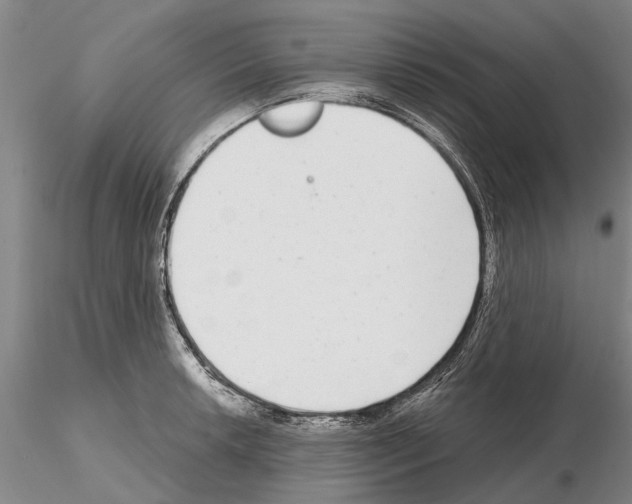 X0000115011042200912071159