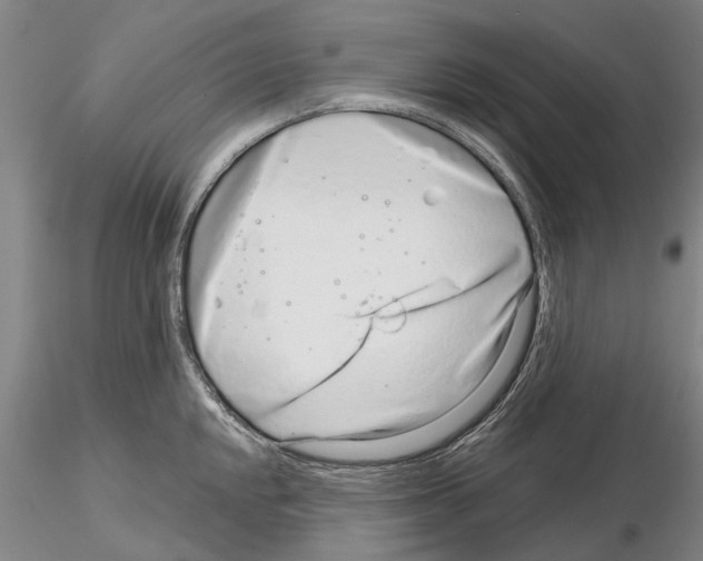 X0000115011048200912071159