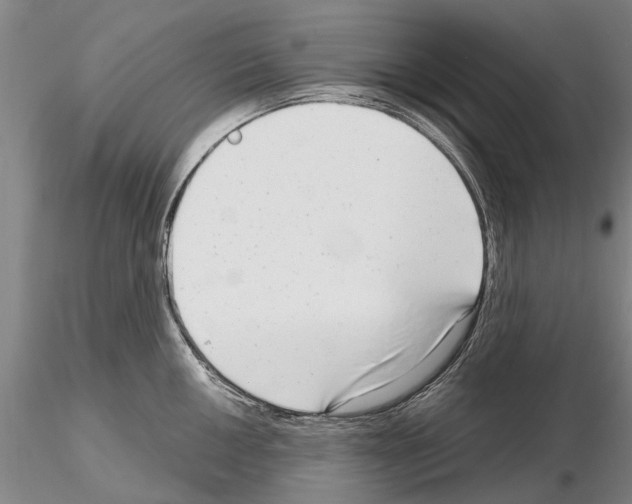 X0000115011050200912071159