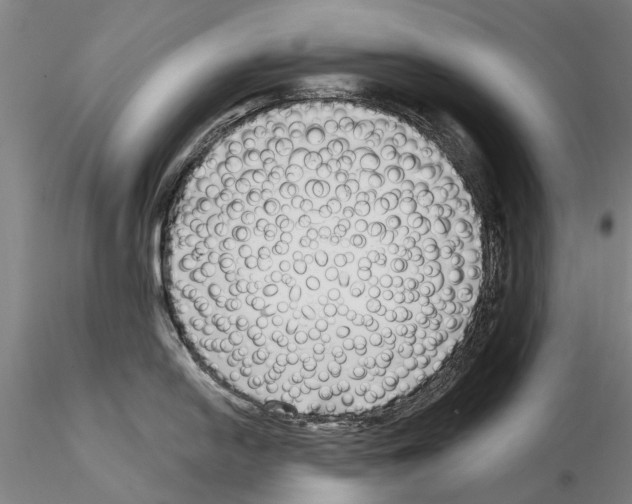 X0000115011054200912071159