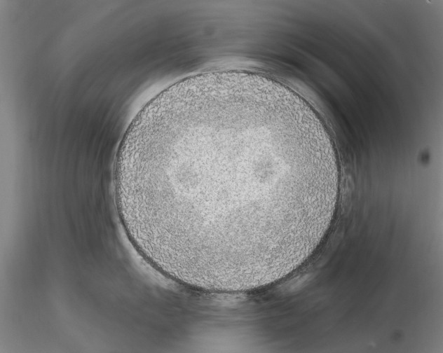 X0000115011055200912071159