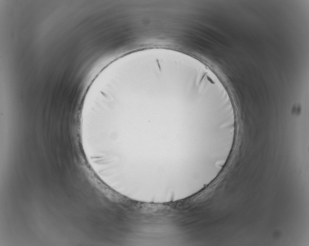 X0000115011056200912071159